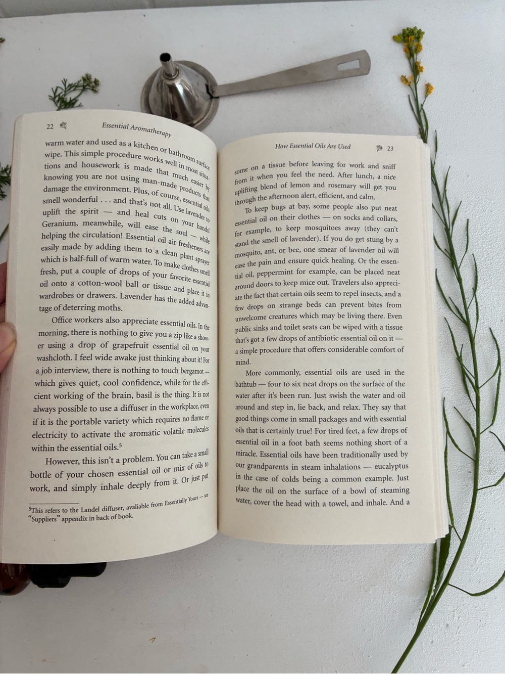 Essential Aromatherapy Pocket Guide — Cream Floral Cover - Picture 13 of 17